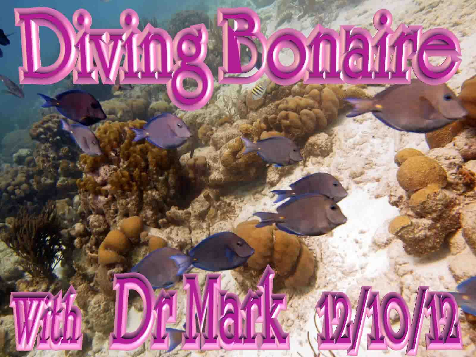 Bonaire 12 10 12