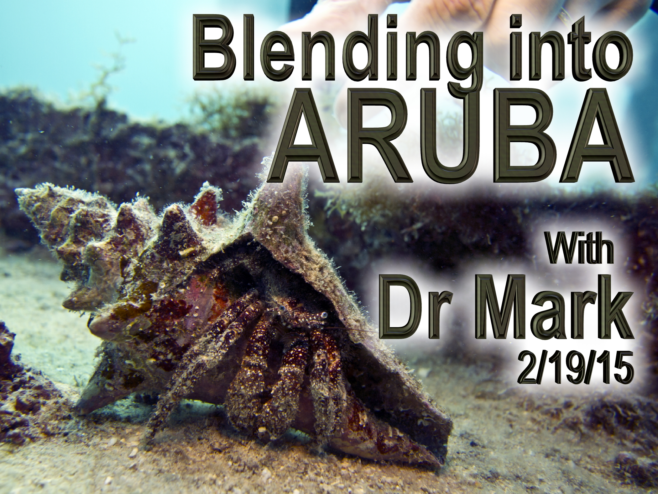 Blending into Aruba 2-19-15