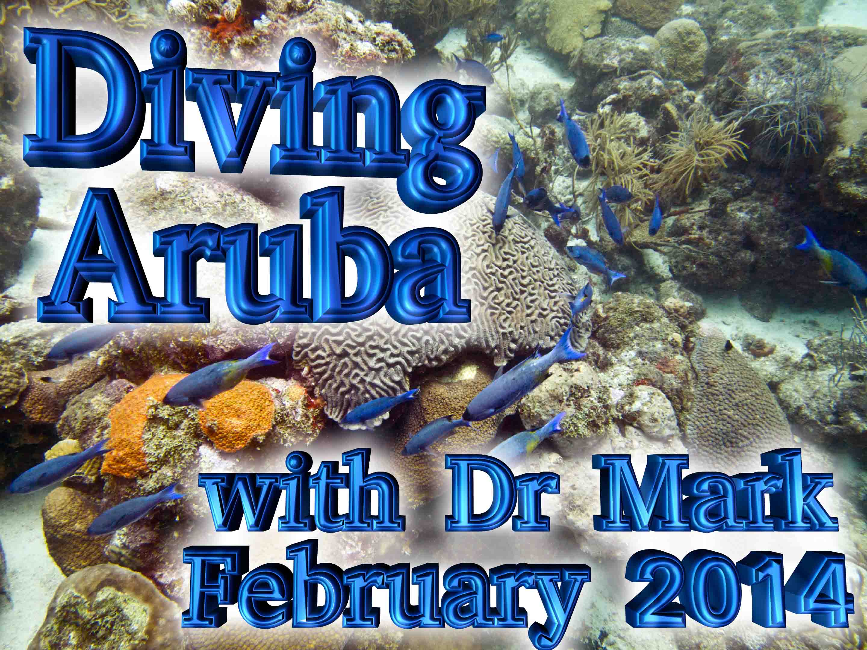 Diving Aruba Feb 2014