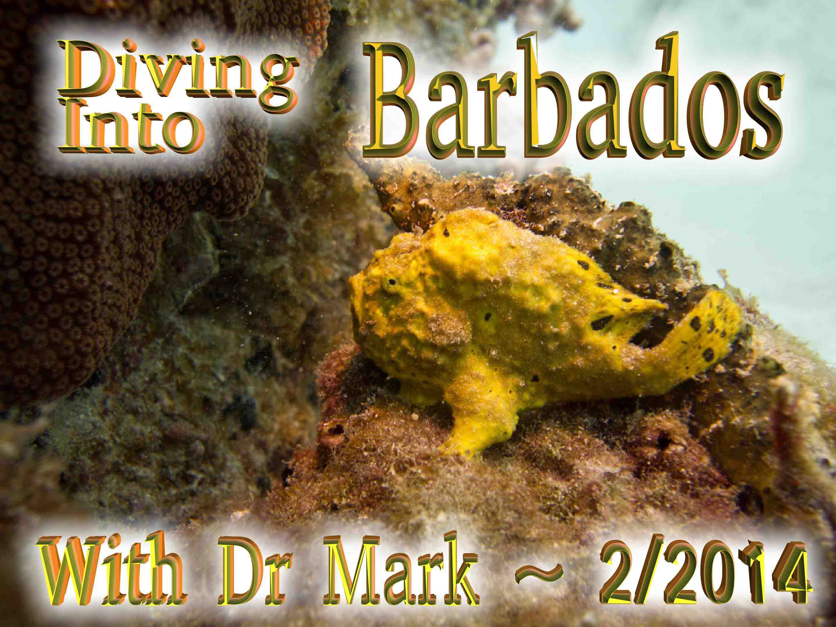 Diving Barbados 2-2014