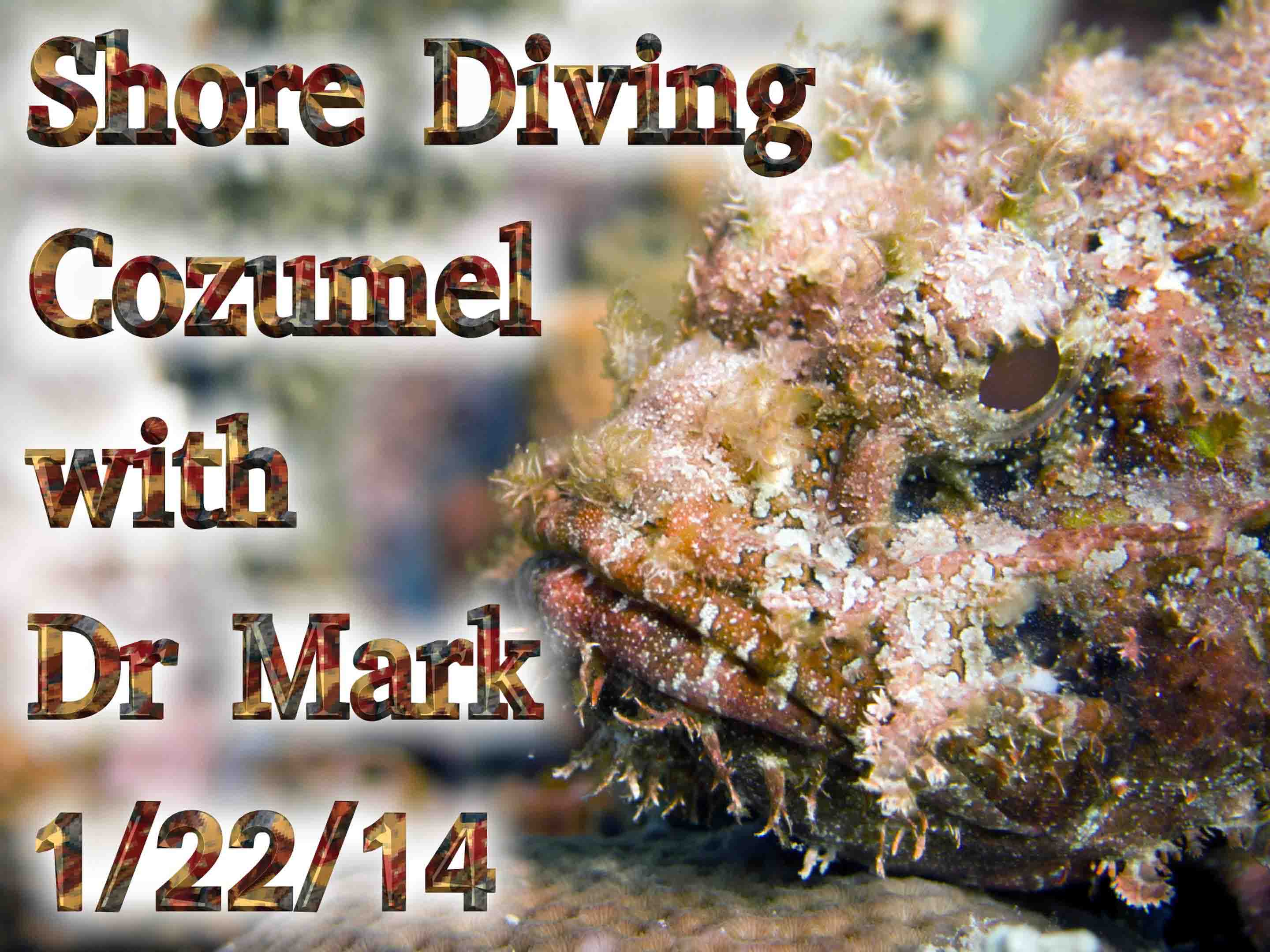 Shore Diving Cozumel 1-22-14