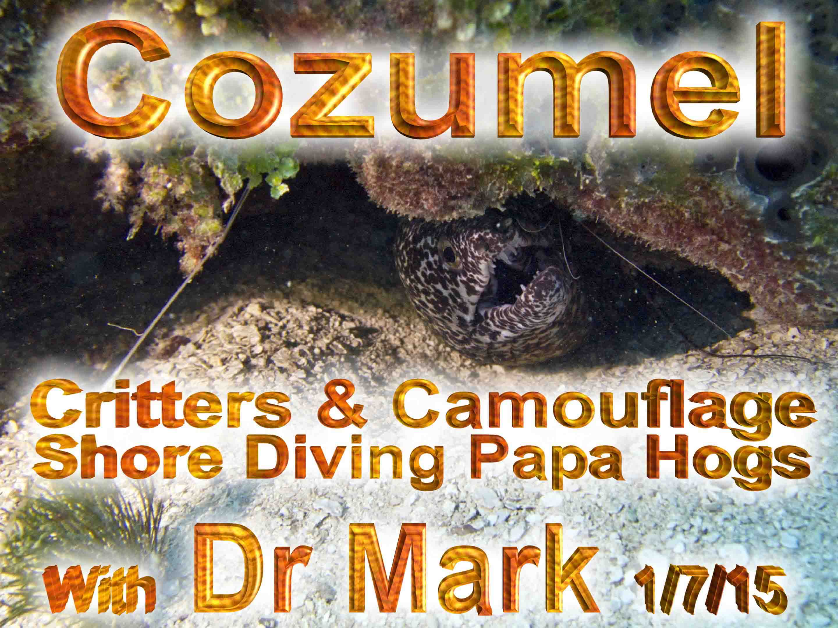 Cozumel Critters and Camo
                1-7-15