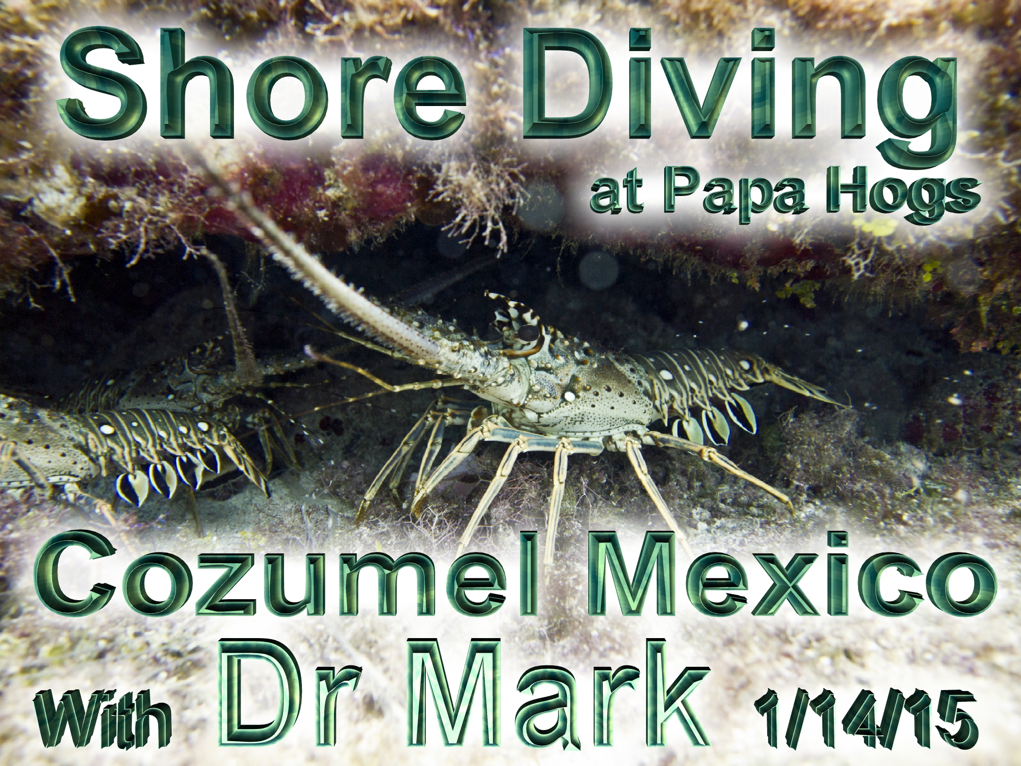 Shore Diving Cozumel 1-14-15