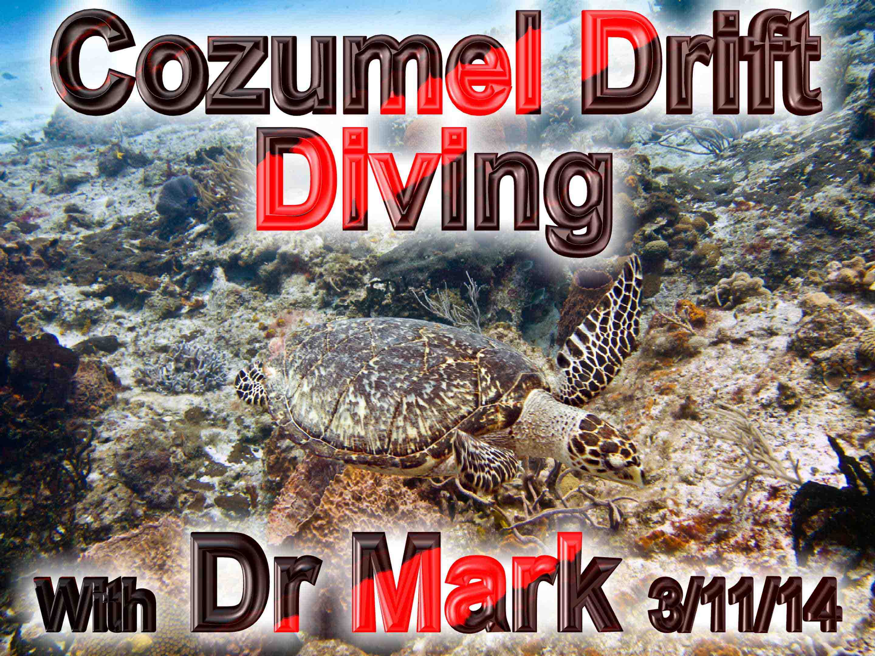 Cozumel Drift Diving 3-11-14
