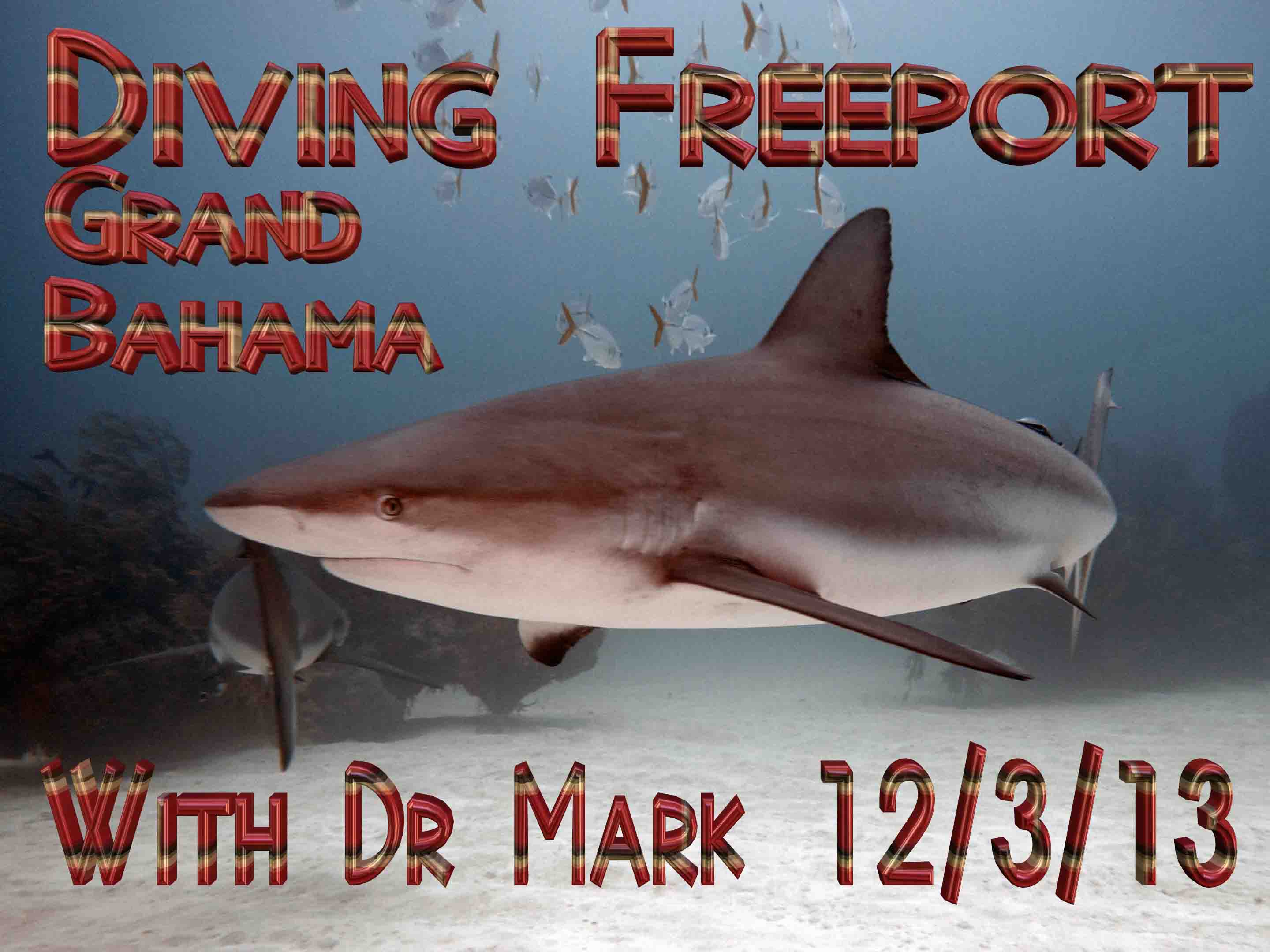 Diving Freeport Grand Bahama
                12-3-13