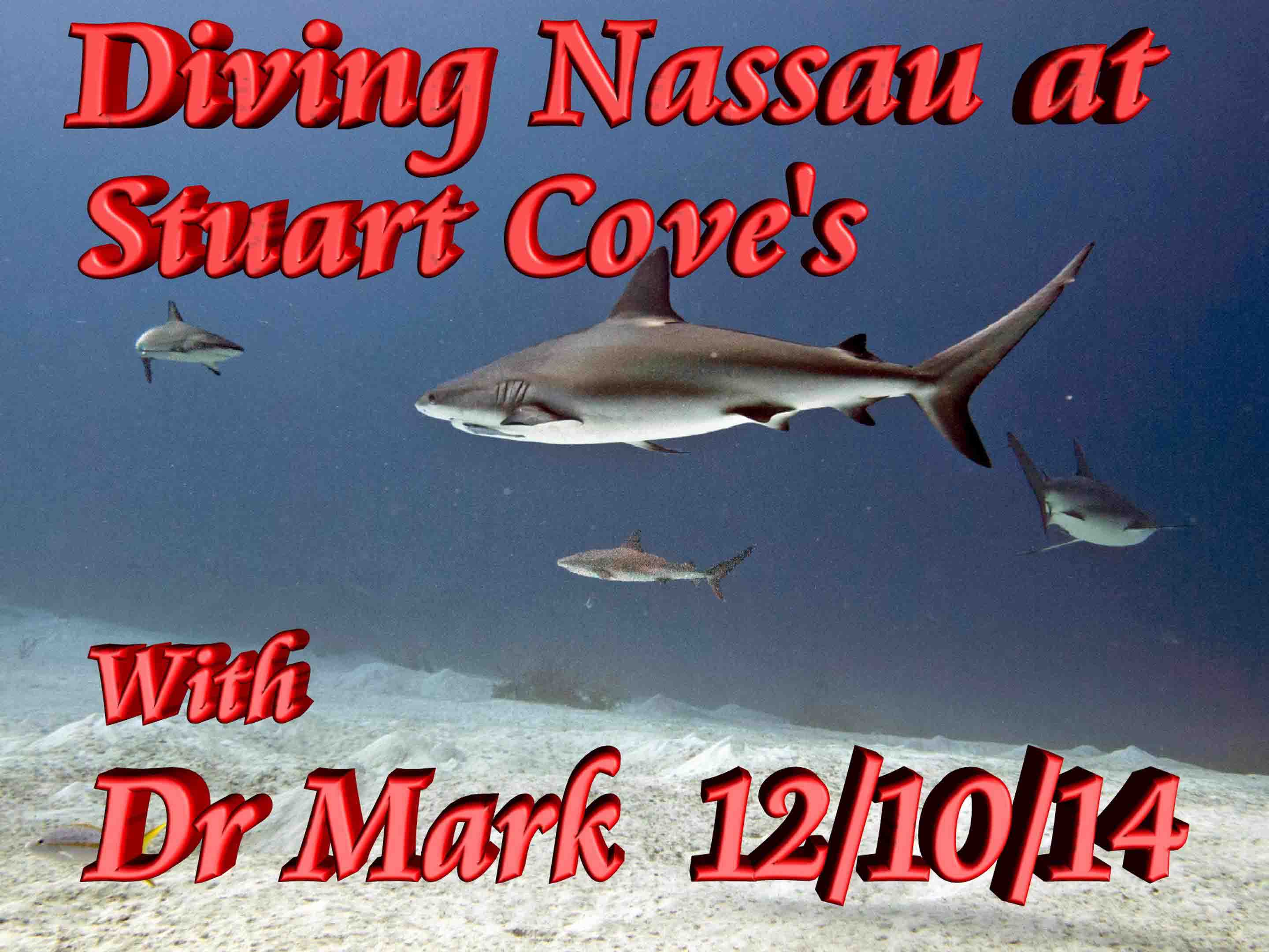 Nassau Stuart Coves 12-10-14