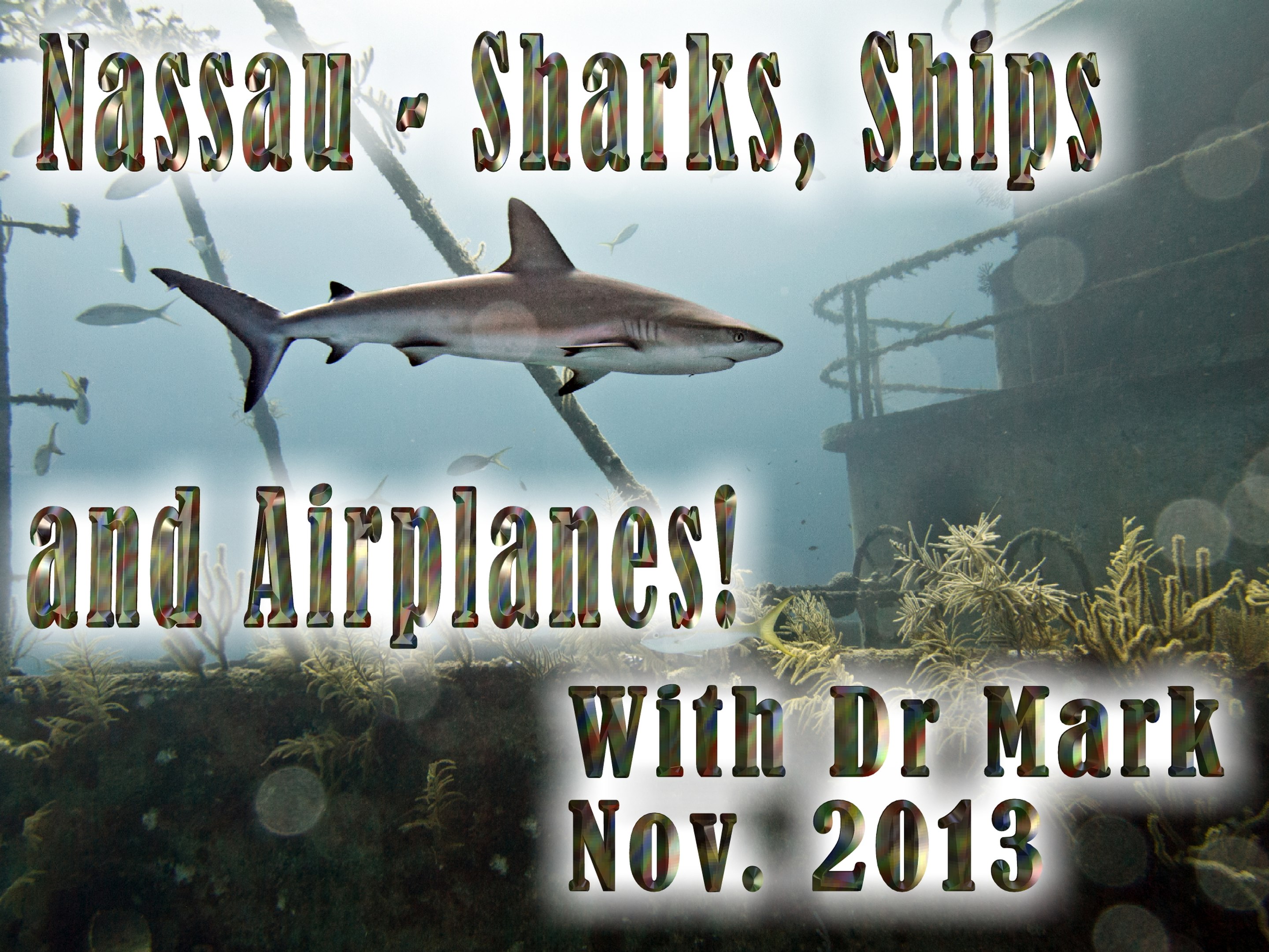 Nassau Bahamas
                Sharks Ships and Planes 11-6-13