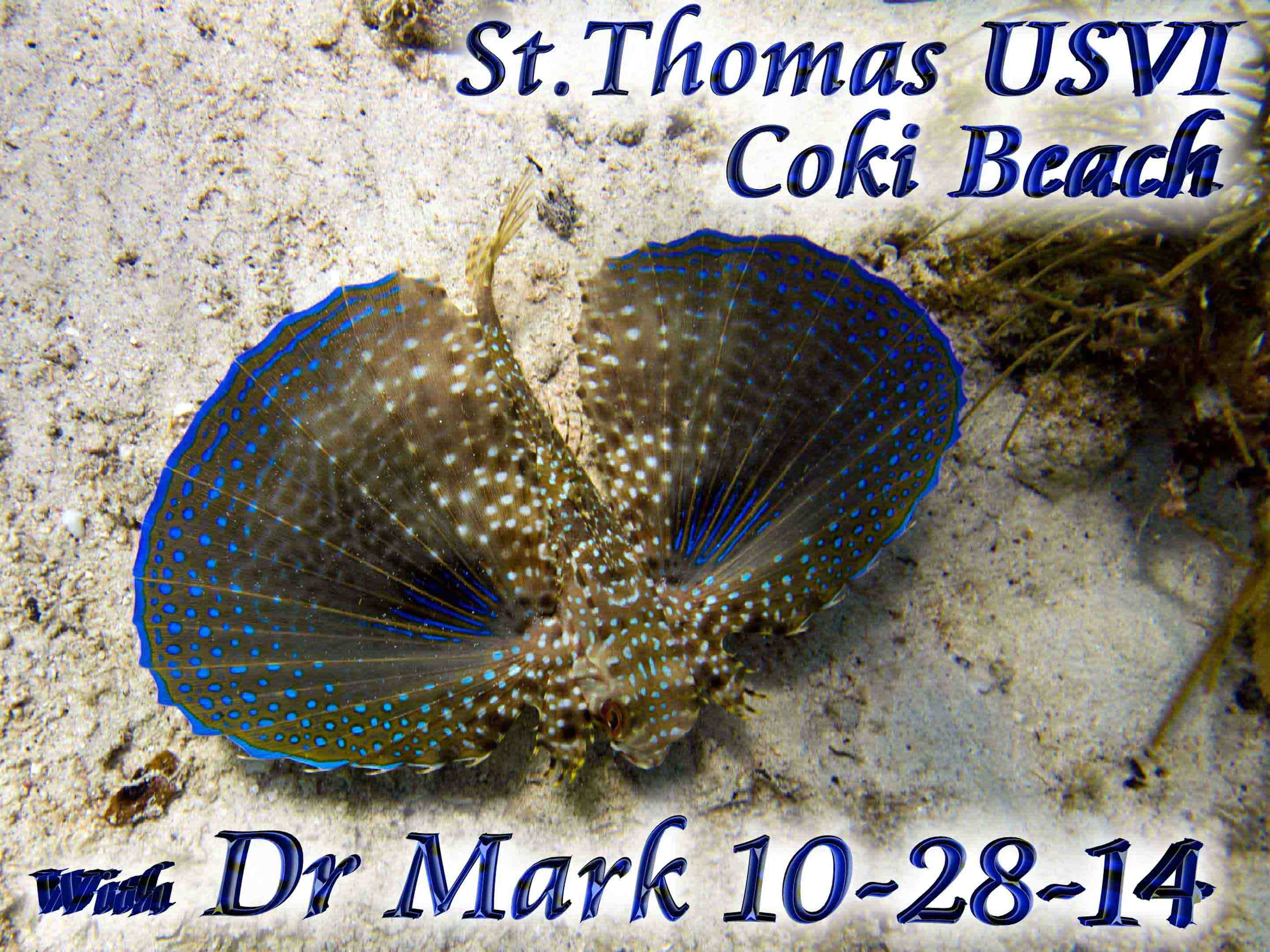 St Thomas Coki 10-28-14
