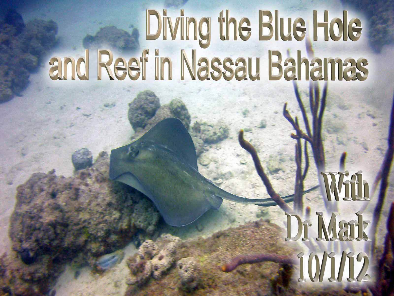 2012 10 01 Nassau Reef around
                Blue Hole