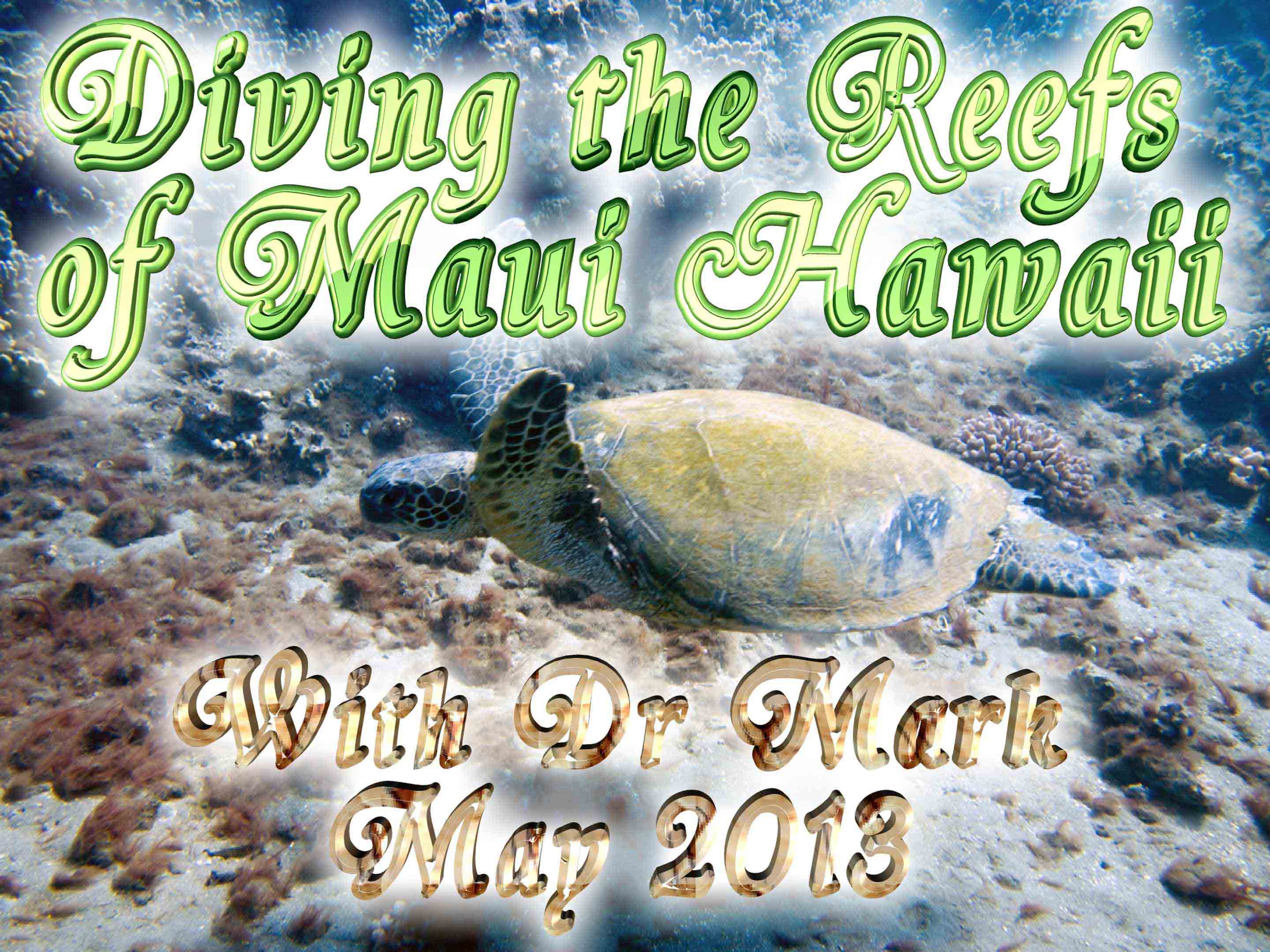 Reefs of Maui 2013