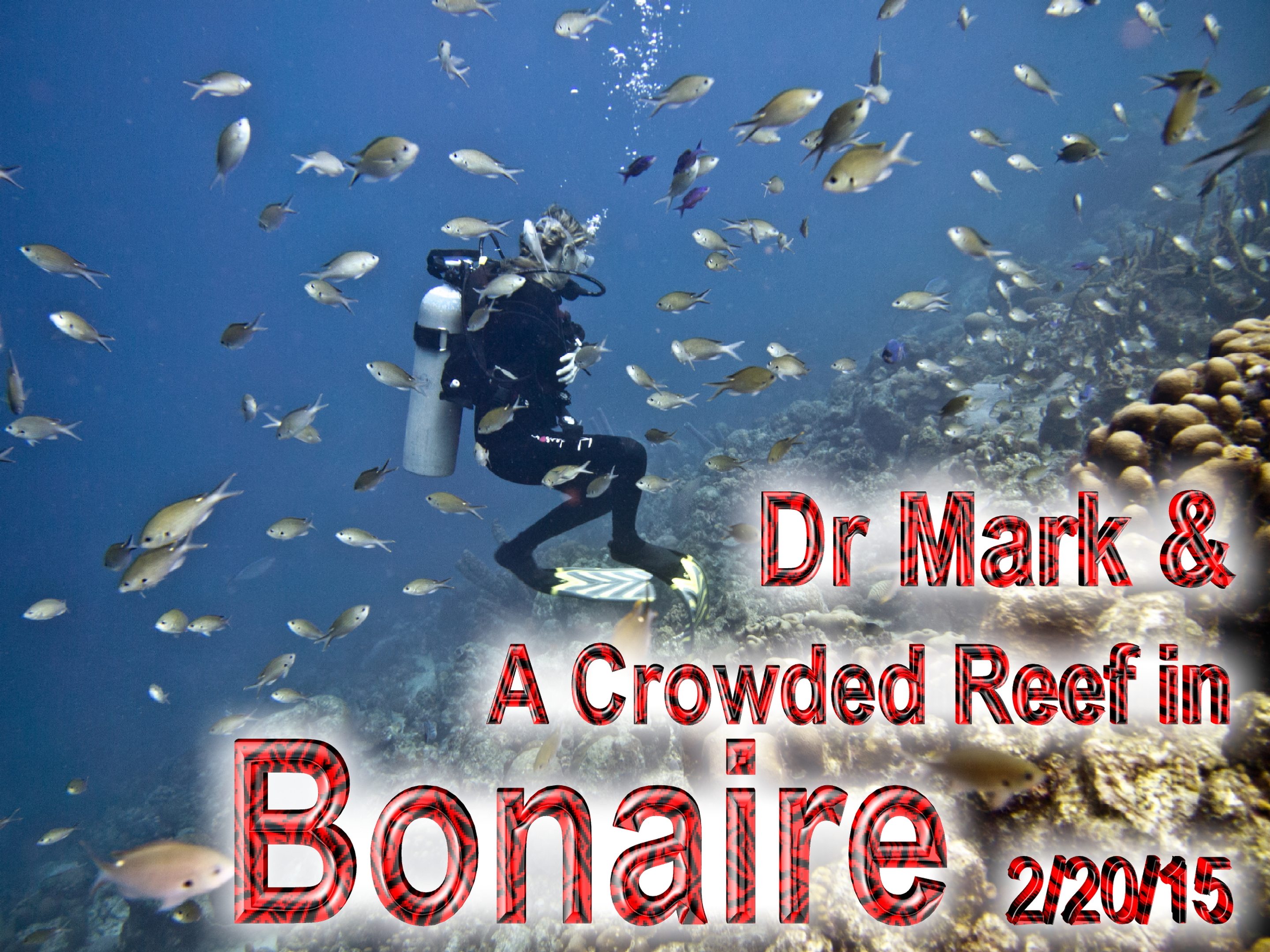Bonaire 2-20-15